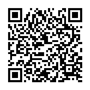 平等的关系是建立的相同或者差不多的实力之上的二维码生成