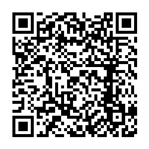 平阳王国已经有一百多万先头部队集合在格森王国的北方要塞之外二维码生成