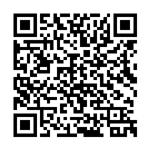 年岁比黄家现如今的少主黄秋浦大上那么一两岁二维码生成