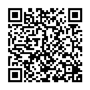 年纪大概在六十岁左右的意大利老男人正一脸惊喜地看着杨肖玫二维码生成
