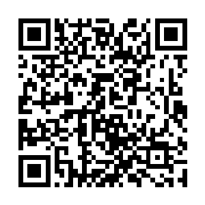 年纪轻轻的不出去闯荡怎么会选择闭关这么一个方法二维码生成