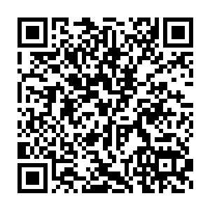年轻一辈的能量粒子学说支持者仿佛迎来了一次重大的历史性胜利二维码生成