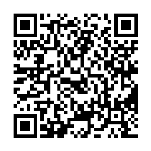 年轻人一看是那只凶猛体格的大狗正撕破了自己的裤子二维码生成