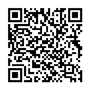 年轻人不知道是不能确定秦洛的身份还是故意讽刺他的身份二维码生成