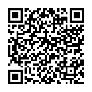 年轻人听到几个日本人的话之后顿时满脸轻蔑的说道二维码生成