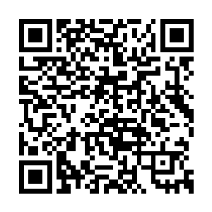 年轻人听到杜天龙的话之后瞥了几个黑衣人一眼二维码生成