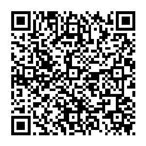 年轻女子的拥抱和柔声安慰对于阻止婴孩继续哭闹继续撕扯她头发是丝毫用处都没有二维码生成