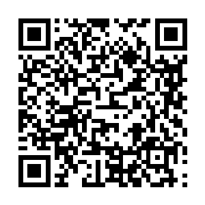 年轻火山们对这首单曲的支持达到了前所未有的高度二维码生成