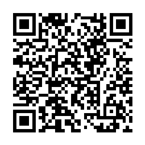 年轻的爸爸和年轻的妈妈带着一个四五岁的小女孩二维码生成