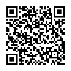 年轻的老领导今天在阜头还算是给自己和老温留了面子二维码生成