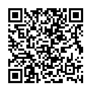 年长的妇人学着刚才那位蒙白绸的女客进门的样子二维码生成