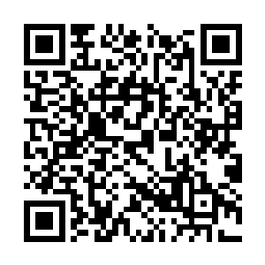 年龄怕是比当年参加神域第一会武的冰梦没大太多二维码生成