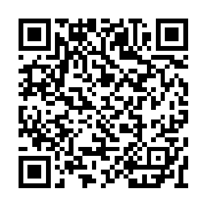 并不代表其中不能生存一元境大能……不出意外二维码生成