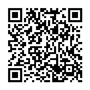 并不代表着他们在这位舅舅的面前可以肆无忌惮二维码生成