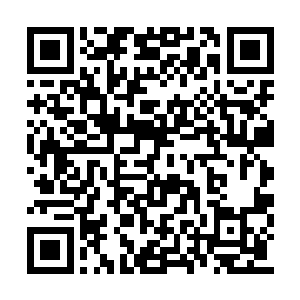 并不代表着巨蛇教会就可以在大陆上通行无阻了二维码生成