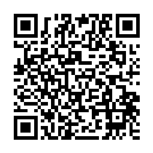 并不像上古凤族诸多大能留下的图腾石刻那样有诸多华丽的名字二维码生成
