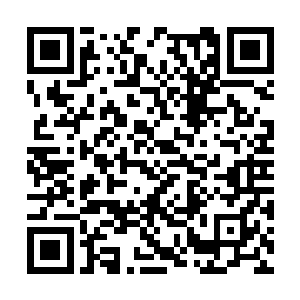 并不像南方这样拥有一个庞大的巫师联盟统领一切二维码生成