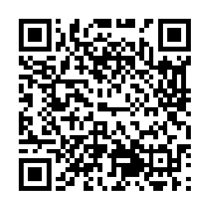 并不敢去听自家老爷和那突然从拐角处窜出来之人的对话二维码生成