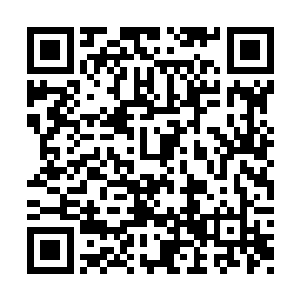 并不时的还有一些希望拉好关系的人送上小礼物二维码生成