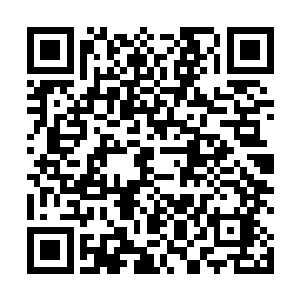 并不时的钻进大棚里和里面劳作的黄水湾村的村民说话二维码生成