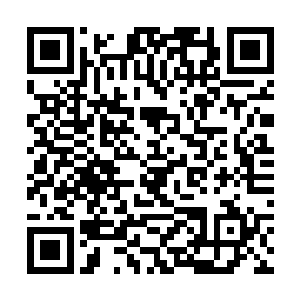 并不是他所知道的燕京的那些公子哥们中的任何一个二维码生成