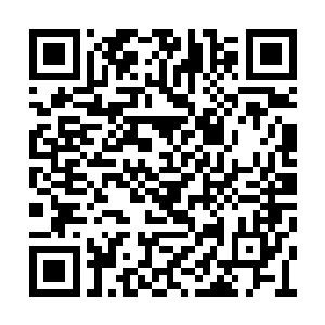 并不是怕了夭华口中说的那个也喜欢白妤的男人二维码生成