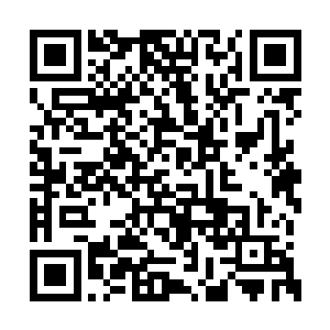 并不是每一个屁股上都写明了可以把自己拉上去二维码生成