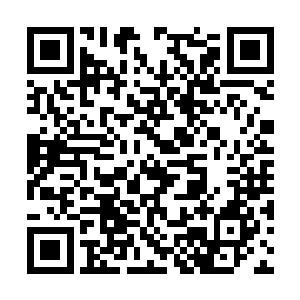 并不是王牌特工所有的后代都能享受特工岛的培训二维码生成