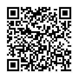 并不知道不久之后他便要经历和见证一波巨大的二维码生成