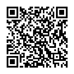 并不能完全把责任怪到他们的不勤奋不努力不上进上二维码生成