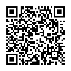 并与林若烟在十平方不到的卧室里展开了激烈的追逐战二维码生成