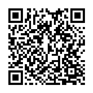并且一棵魂木上只有短短的一截能过被修士使用二维码生成