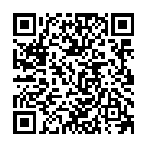 并且一致抱怨以前在普吉岛培训的时候为什么没有做火锅来吃二维码生成