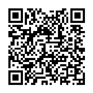 并且一面三眼雷霆虎兽相势猝地从他身后腾放展开二维码生成