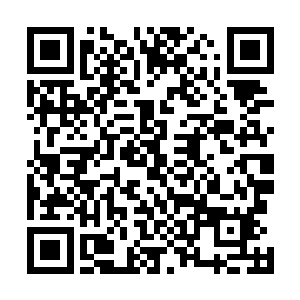 并且与拍卖会结束后的当天晚上在城主府举行了一场晚宴二维码生成