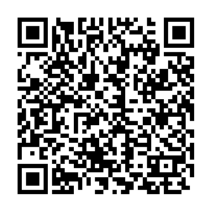 并且为了表示诚意还特意安排了一位大导演的一部戏的女主角给她二维码生成