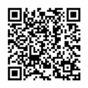 并且之前红龙还吃了我们为它特意准备的加料山羊……二维码生成