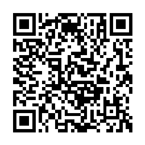 并且也以此找到了吉莉安她们当初的族群落脚点二维码生成