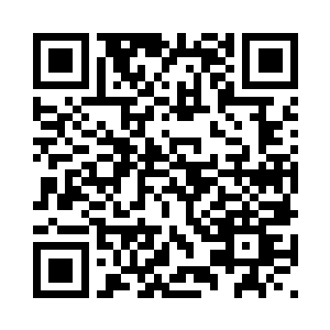 并且从主杆上分割下来的几条枝杈二维码生成