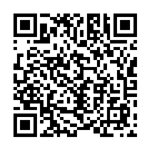 并且作为当事人的他也很想拿下厂长这颗最强大的紫龙珠二维码生成