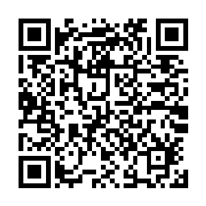 并且准备继续以蜜蜜的身份做出各种损害蜜蜜和蜜怡的事情二维码生成