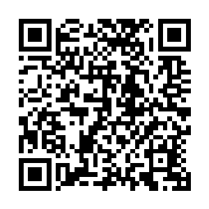 并且几个心情愉悦的公关部小妞也上去跟着音乐动起了身子二维码生成