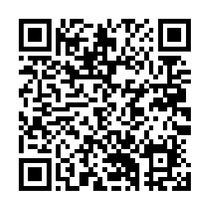 并且几乎所有人都被吕荡此时迸发而出的可怕怨气给慑住了二维码生成