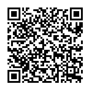 并且击退了莱昂纳多一迪卡普里奥和约翰一马尔科维奇的有力冲击二维码生成