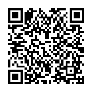 并且分析田蜜很有可能是再次被阿达罗柯绑架并且施暴二维码生成