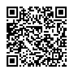 并且十分钟内被植入者的身体就会被生命之核所影响二维码生成