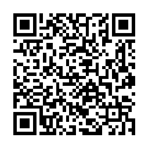 并且可以将眼前这个颜值排名世界第二的美女收归帐中二维码生成