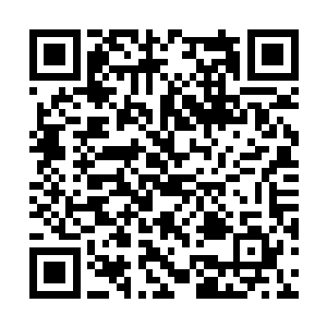 并且和森林里的黄房子那种周边寸草不生完全不同二维码生成