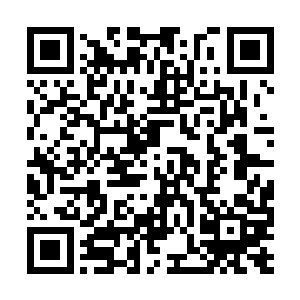 并且唐菲菲和萧慕雪更是将开业的日子也定了下来二维码生成