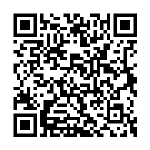 并且国主能凭借自身的力量将整个国家托起100米二维码生成